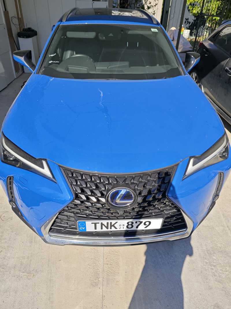 Lexus UX Electric 2021