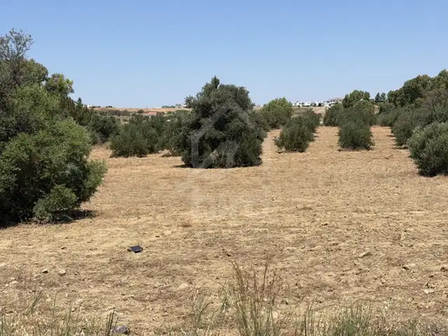 Residential Field 3726 m², Nicosia — Tseri - 3