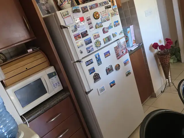 Leonard fridge refrigerator freezer 429 litres 163 x 71 x 80, Limassol — Limassol - Agia Fyla