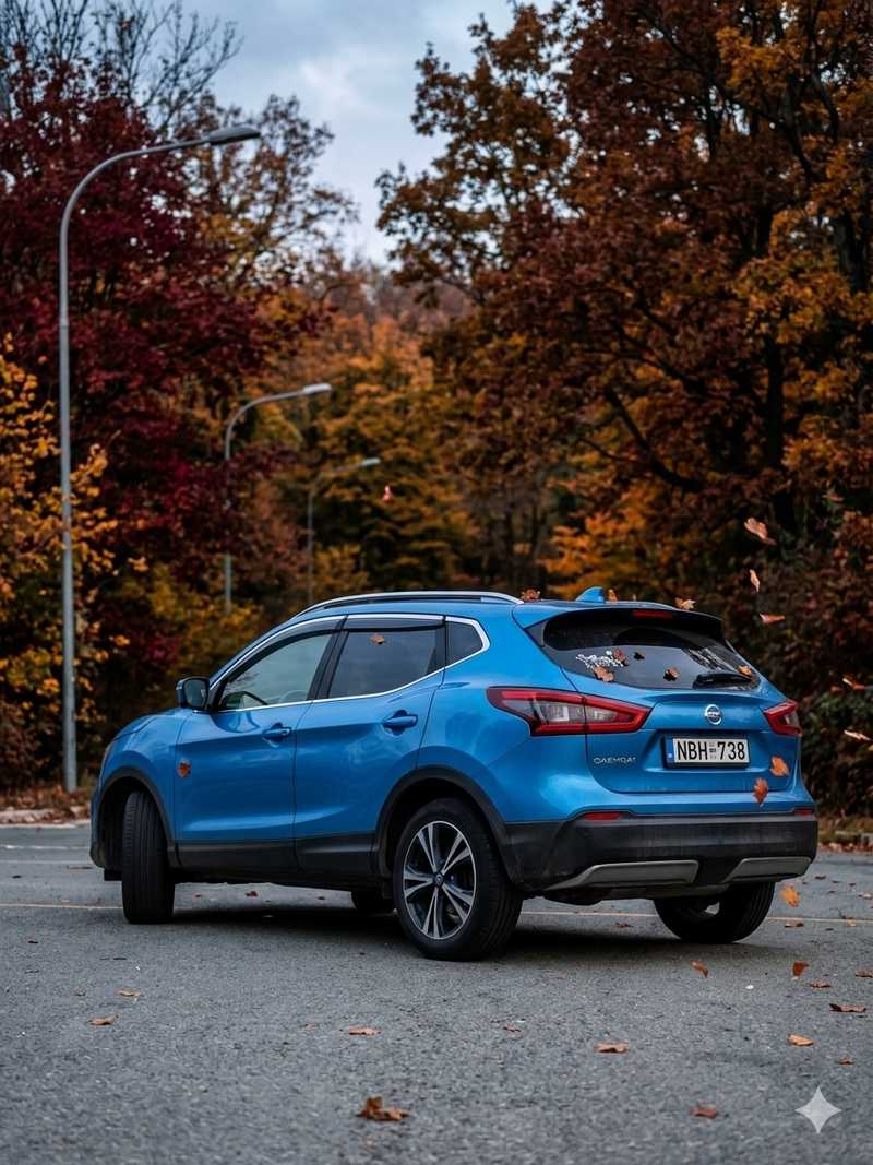 2018 Nissan Qashqai 1,2L 2018 Cyprus