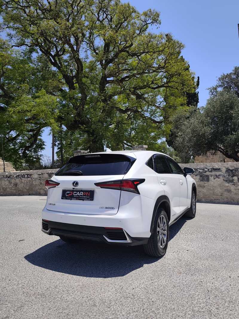 2020 Lexus NX 2,5L 2020 Cyprus