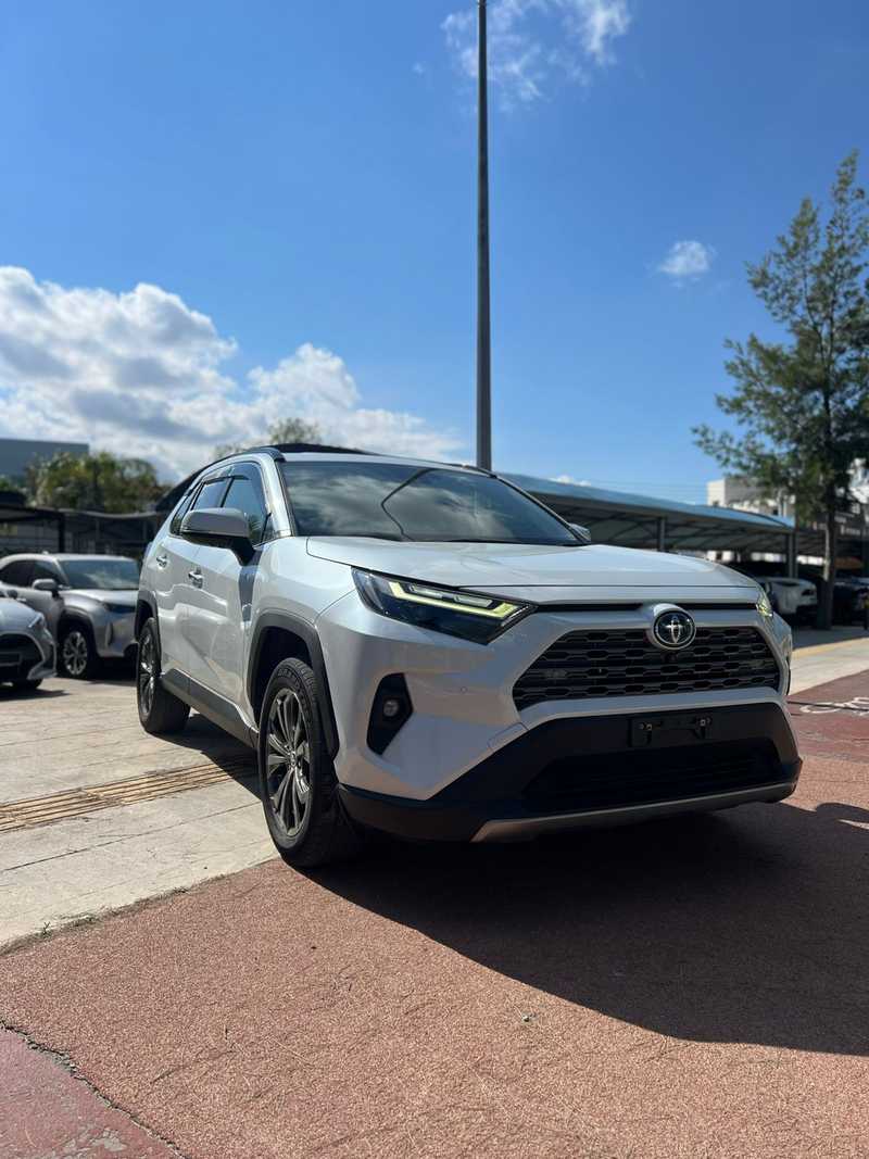 2024 Toyota RAV4 2,5L 2024 Cyprus