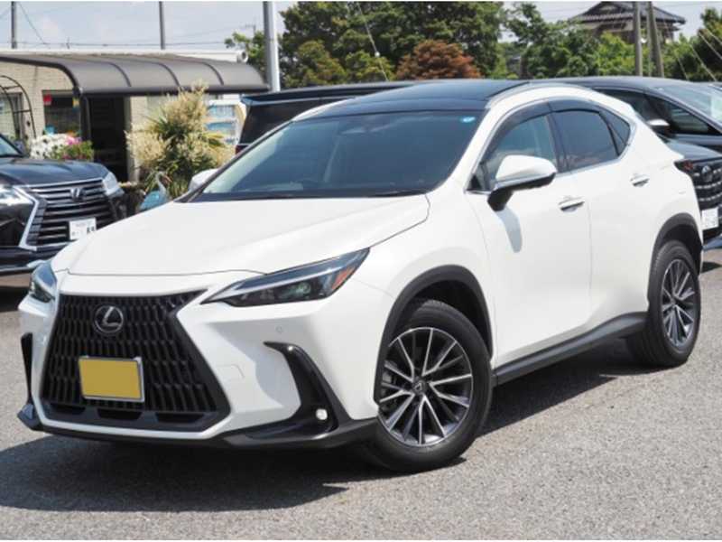 2025 Lexus NX 2,5L 2025 Cyprus