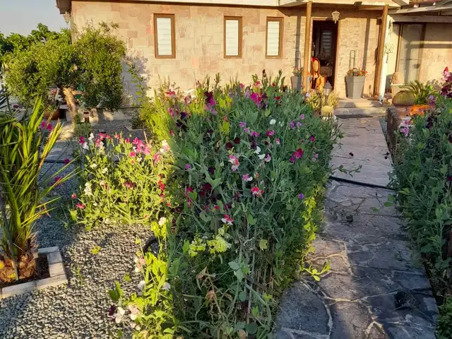 2-bedroom villa to rent, Επαρχία Αμμοχώστου — Δασάκι Άχνας