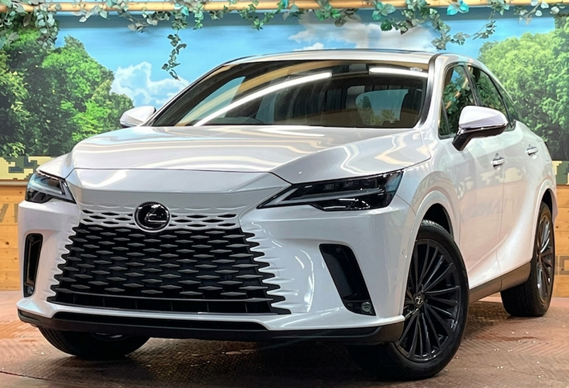 Lexus RX 2,5L 2024