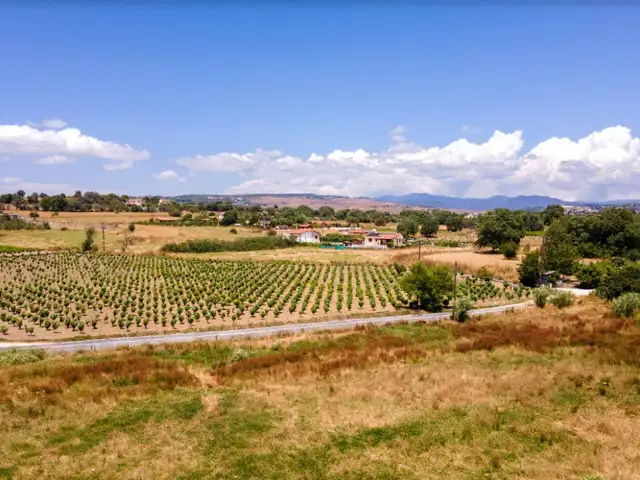 Residential Field 5017 m², Paphos — Polemi
