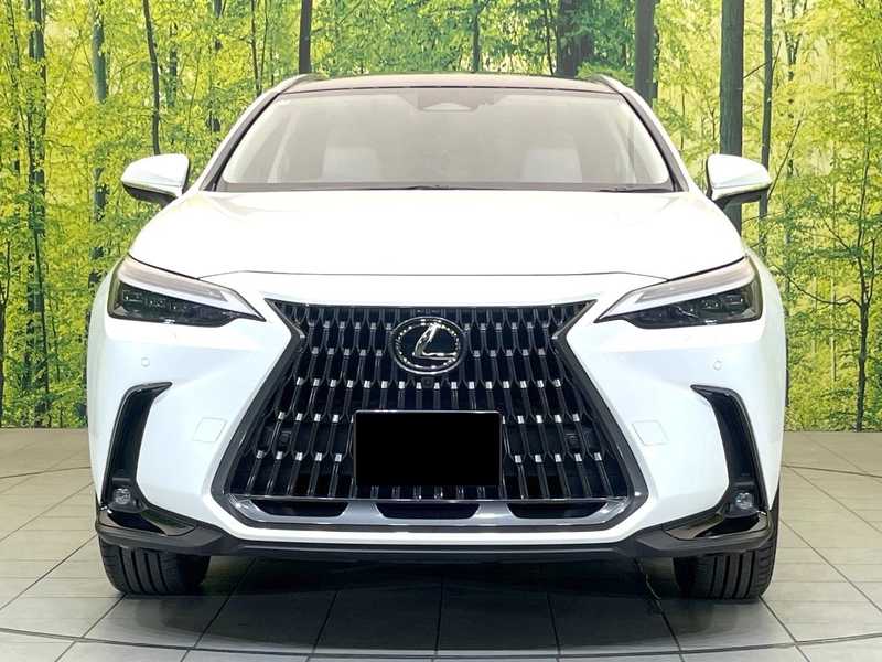 2025 Lexus NX 2,5L 2025 Cyprus