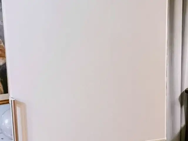 Refrigerator siemens, Επαρχία Λάρνακας — Μαζωτός