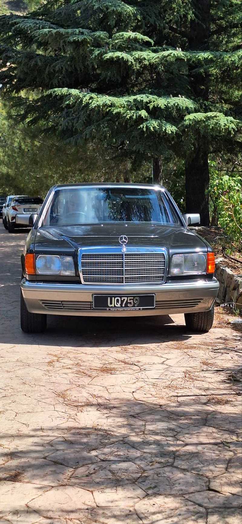 Mercedes-Benz S-Class 2,6L 1987