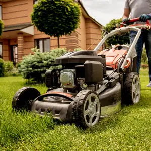 Professional Home Maintenance Services by VStar Manage in Paphos, Paphos — Paphos - Kato Paphos