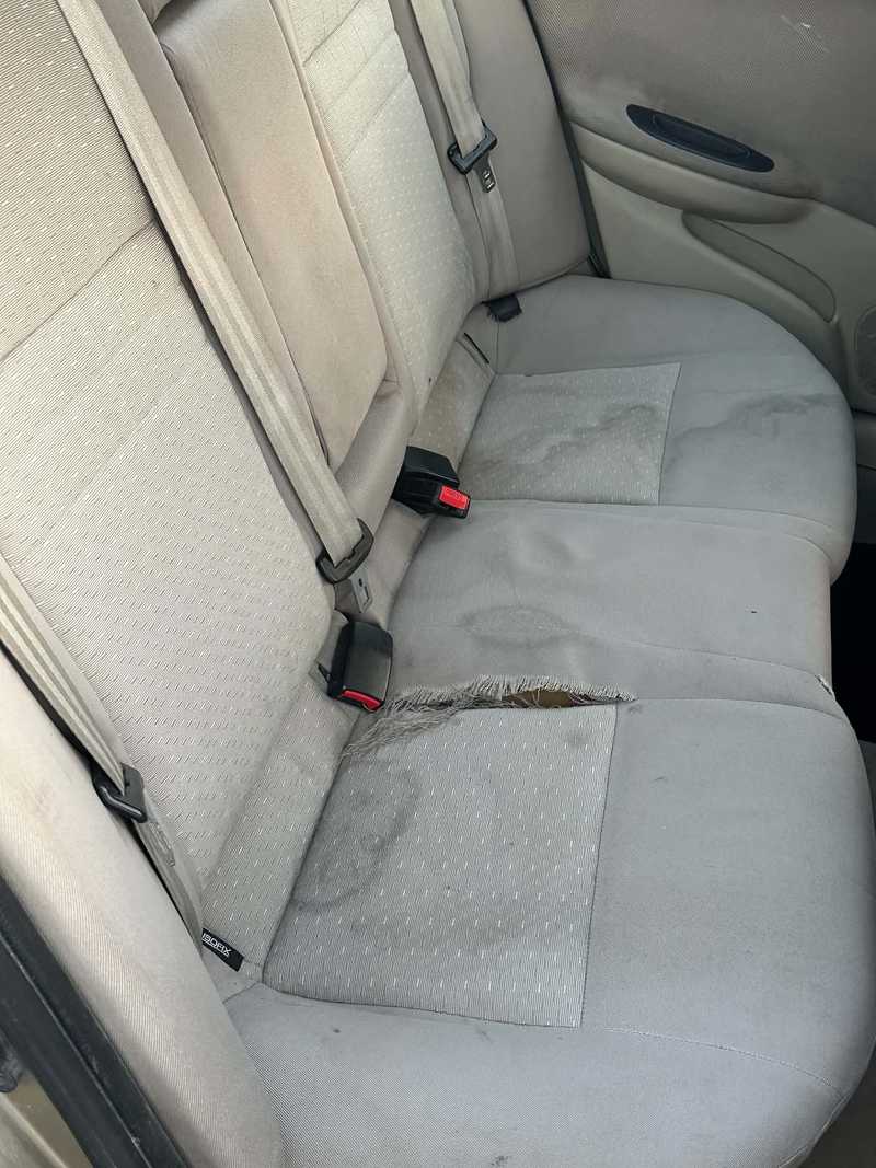 2003 Nissan Primera 1,6L 2003 Cyprus