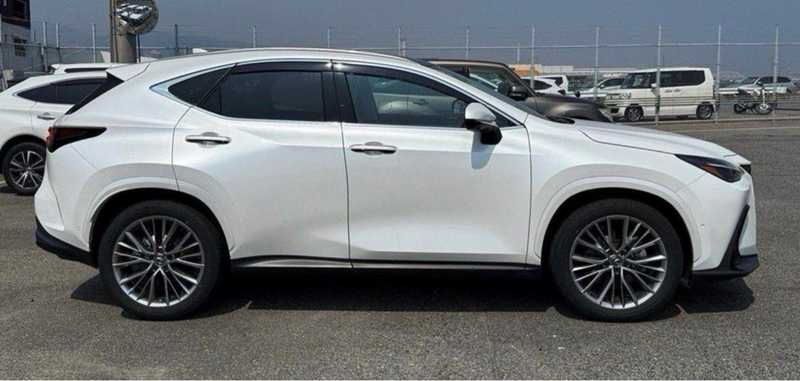 2024 Lexus NX 2,5L 2024 Cyprus
