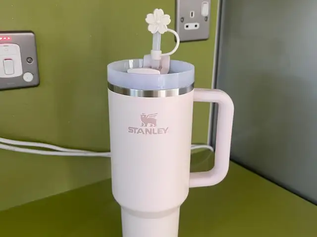 Original stanley 40oz tumbler, Paphos — Pegeia