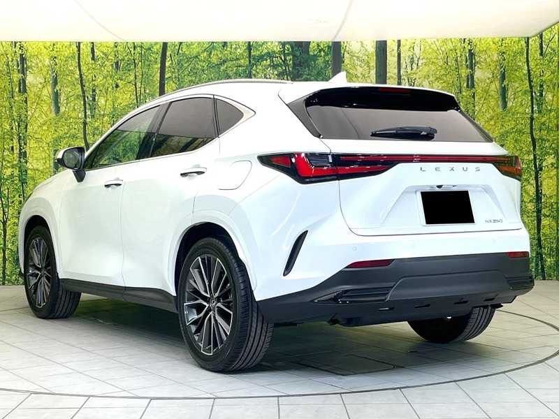 2025 Lexus NX 2,5L 2025 Cyprus