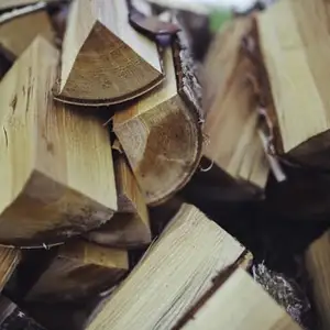 2 types of wood, Επαρχία Λευκωσίας — Δάλι - Παναγ Ευαγγελίτρια