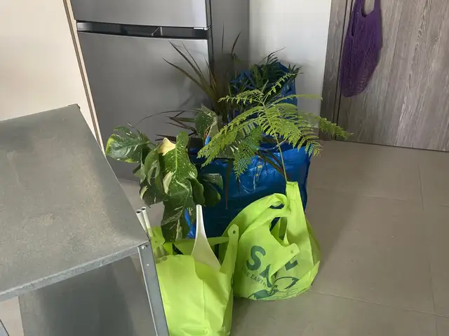 Shelf unit hyllis ikea, Επαρχία Λάρνακας — Λάρνακα - Κόκκινες