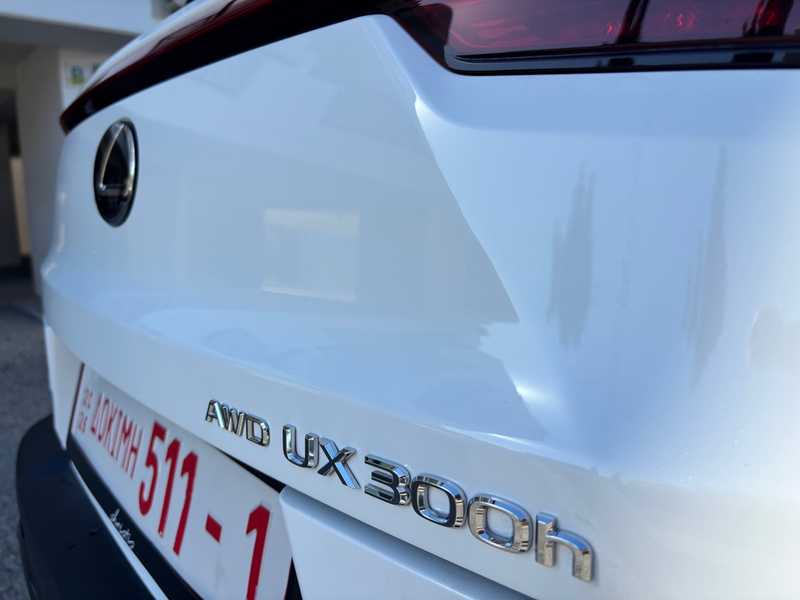 2024 Lexus UX 2,0L 2024 Cyprus