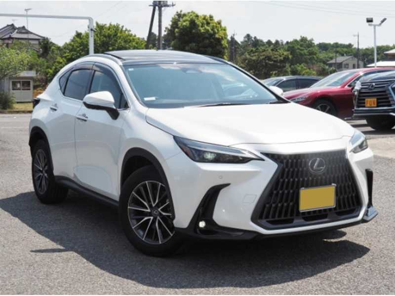 Lexus NX 2,5L 2025