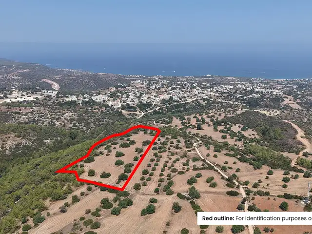 (Share) Agricultural Field 6962 m², Επαρχία Πάφου — Νέο Χωρίο Πάφου