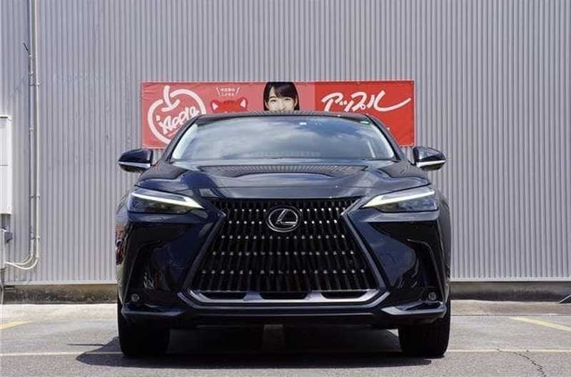 Lexus NX 2,5L 2022
