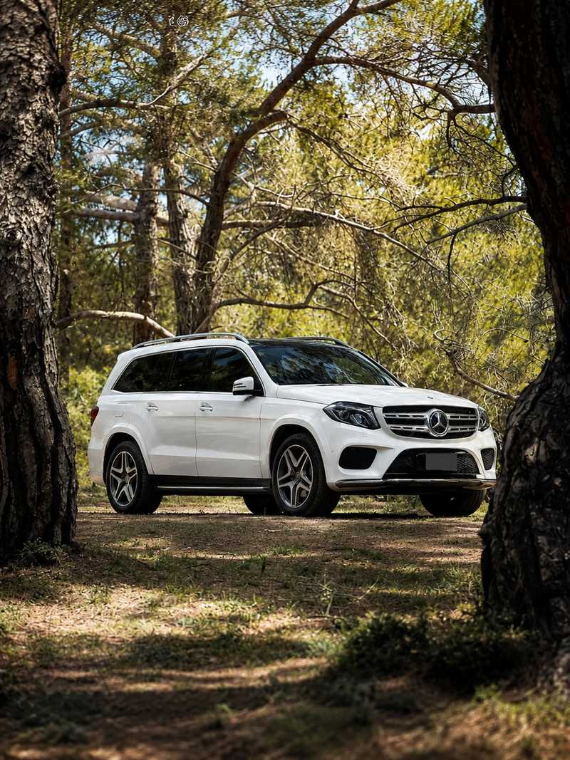 Mercedes-Benz GLS-Class 3,0L 2017