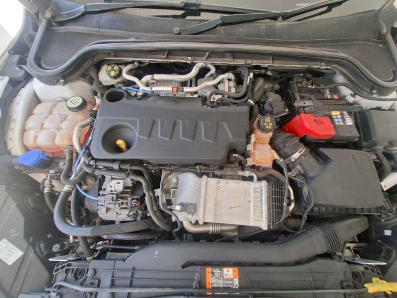2019 Ford Focus 2,0L 2019 Cyprus