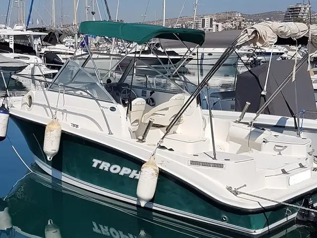Trophy 2006, engine new 2019, Επαρχία Λεμεσού — Άγιος Τύχων