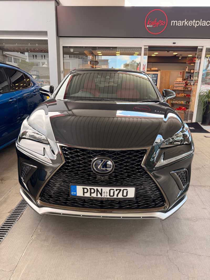 2020 Lexus NX 2,5L 2020 Cyprus