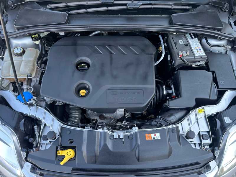 2014 Ford Focus 1,6L 2014 Cyprus