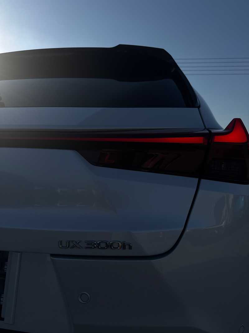 2025 Lexus UX 2,0L 2025 Cyprus