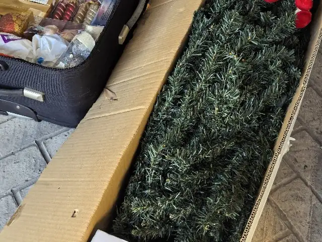 Christmas tree, Santa Claus, electric string lights, and Christmas tree ornament, Limassol — Limassol - Neapolis