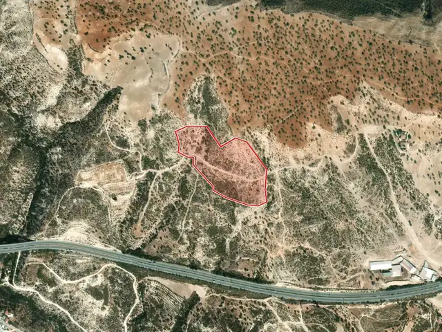 Agricultural Field 42476 m², Επαρχία Λεμεσού — Πισσούρι