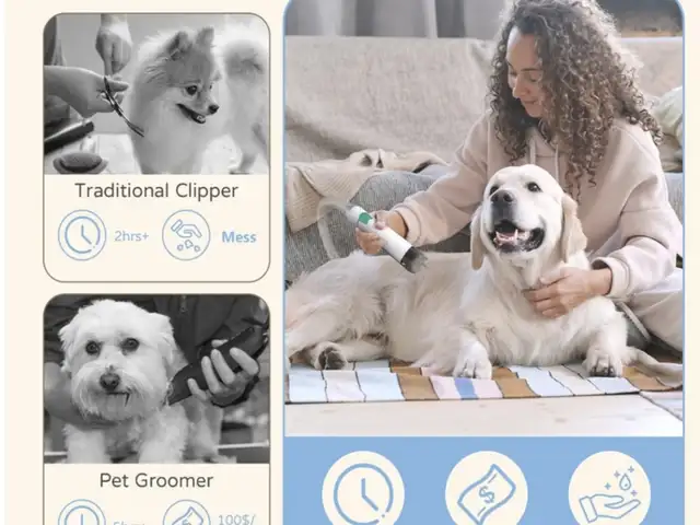 Dog gromming kit, Επαρχία Λεμεσού — Λεμεσός - Ζακάκι