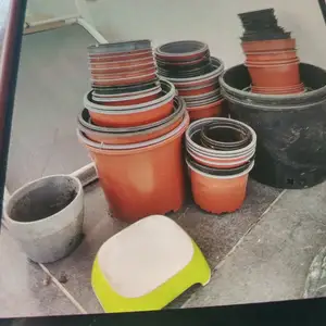 Plant pots, Limassol — Kato Polemidia