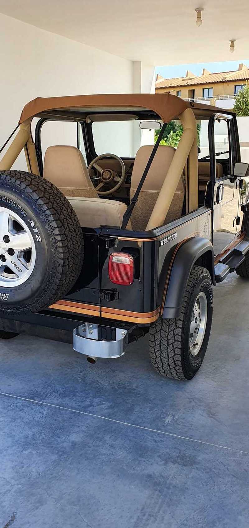 1988 Jeep Wrangler 4,2L 1988 Cyprus