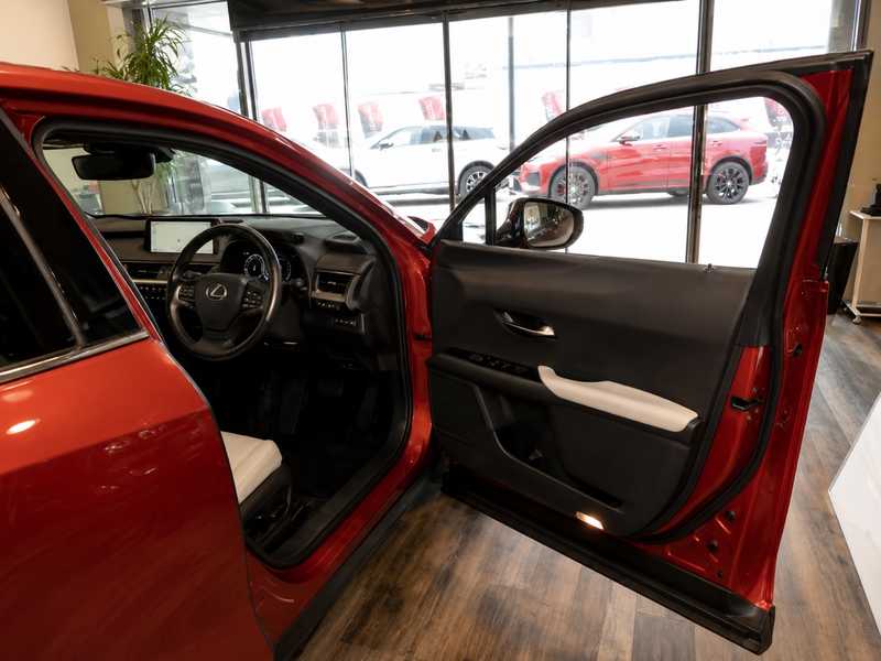 2022 Lexus UX 2,0L 2022 Cyprus