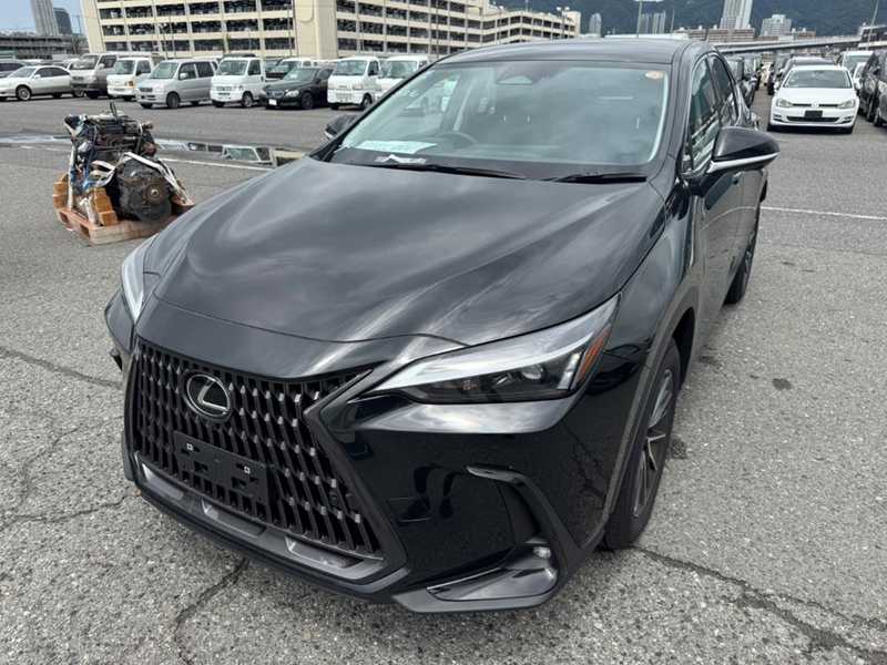Lexus NX 2,5L 2025