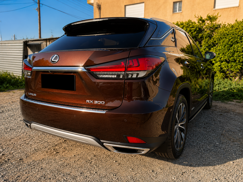 2020 Lexus RX 2,0L 2020 Cyprus