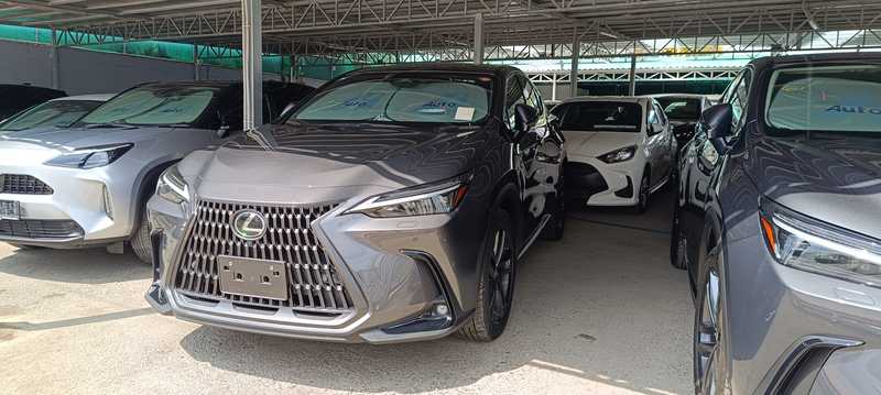 2024 Lexus NX 2,5L 2024 Cyprus