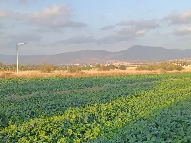 Residential Field 13100 m², Επαρχία Πάφου — Πόλις Χρυσοχούς