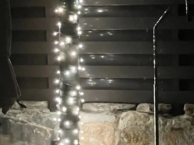 Garden string lights, Limassol — Pissouri