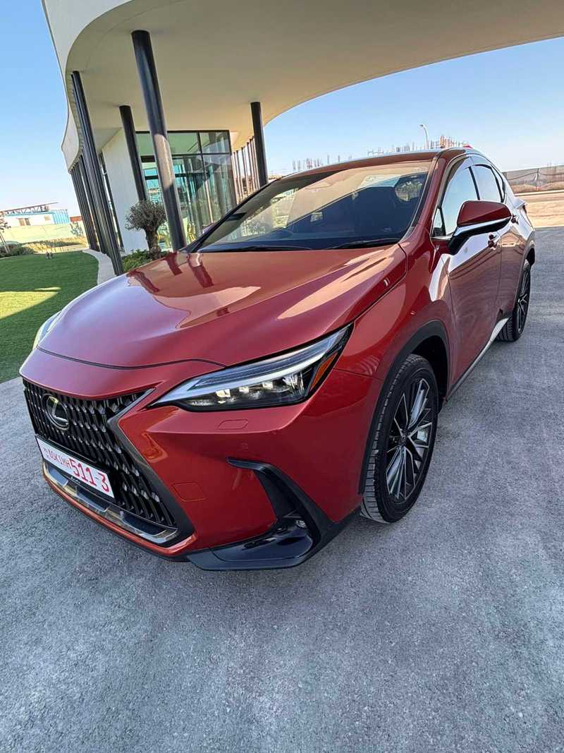2024 Lexus NX 2,5L 2024 Cyprus