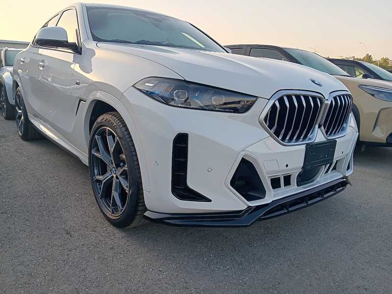 BMW X6 3,0L 2025