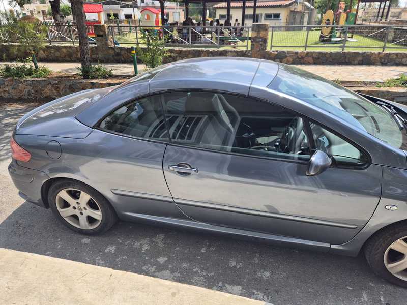 2004 Peugeot 307 1,6L 2004 Cyprus