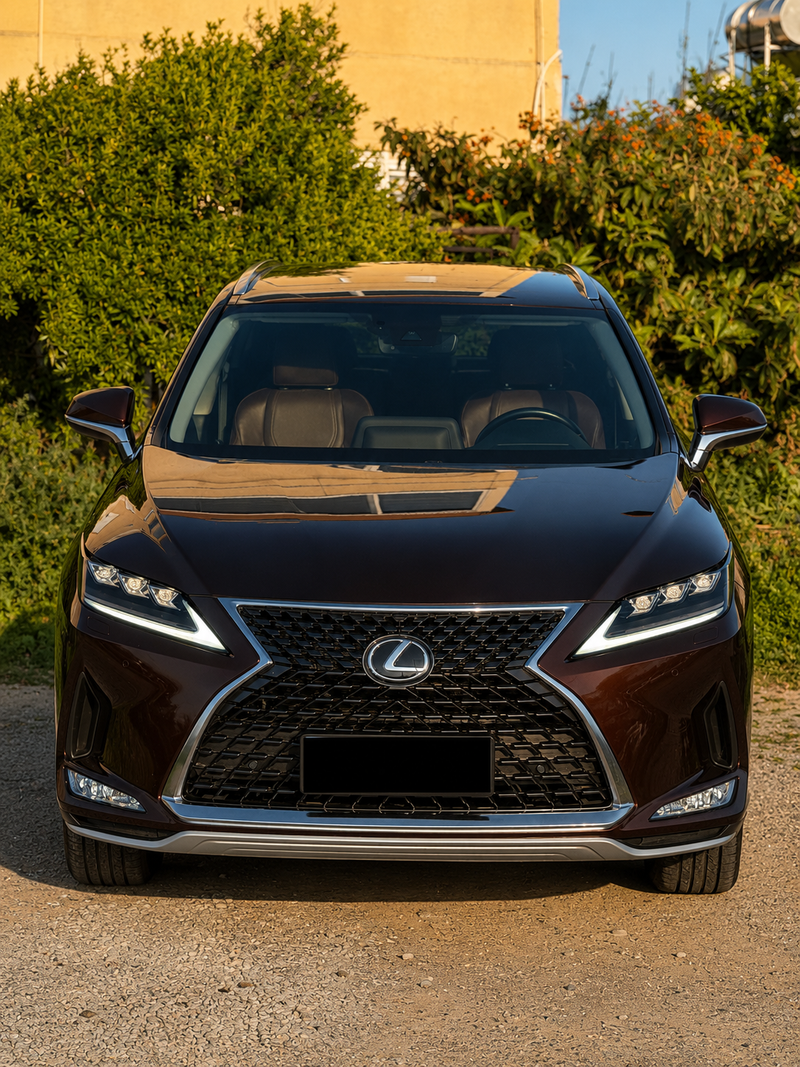 2020 Lexus RX 2,0L 2020 Cyprus