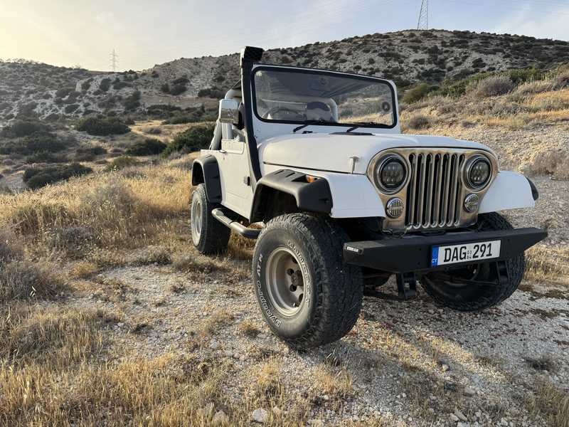 1994 SsangYong Korando 2,5L 1994 Cyprus