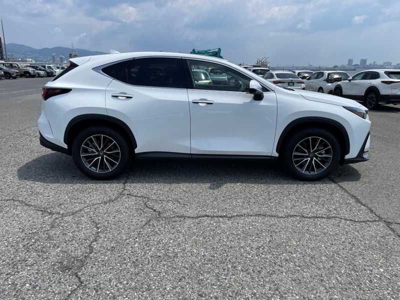 2026 Lexus NX 2,5L 2026 Cyprus