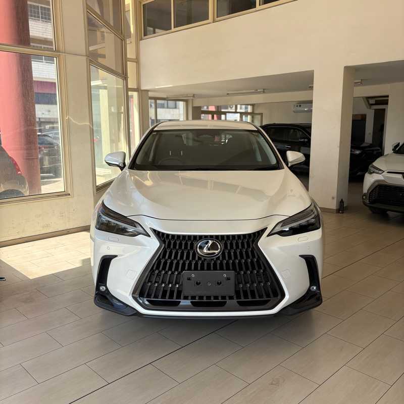 2023 Lexus NX 2,5L 2023 Cyprus