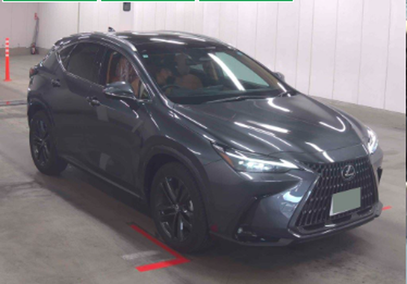 Lexus NX 2,5L 2025