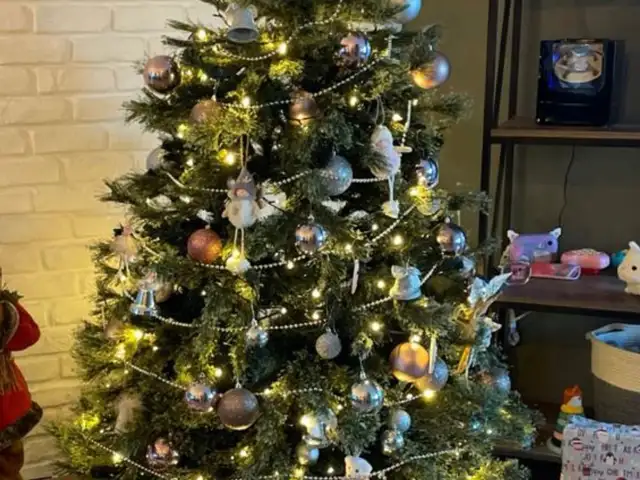 Christmas tree, Επαρχία Λεμεσού — Λεμεσός - Νεάπολη